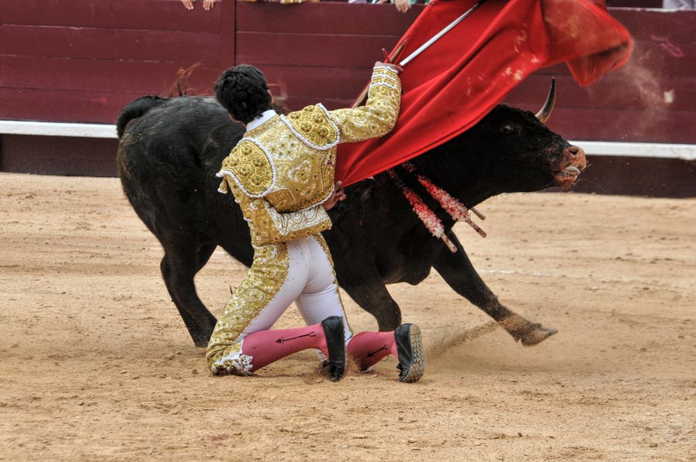 2016novistres (44)
