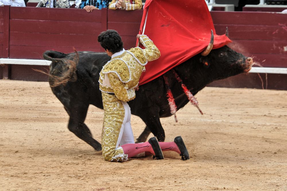 2016novistres (47)