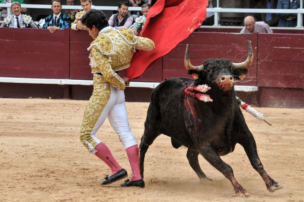 2016novistres (49)