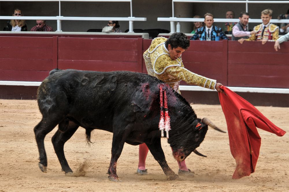 2016novistres (50)