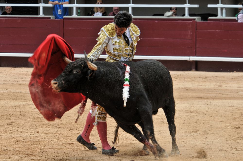 2016novistres (51)