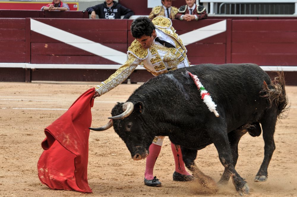 2016novistres (52)