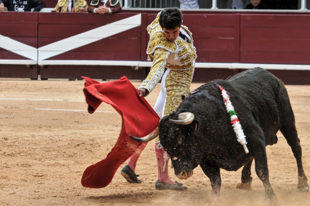 2016novistres (54)