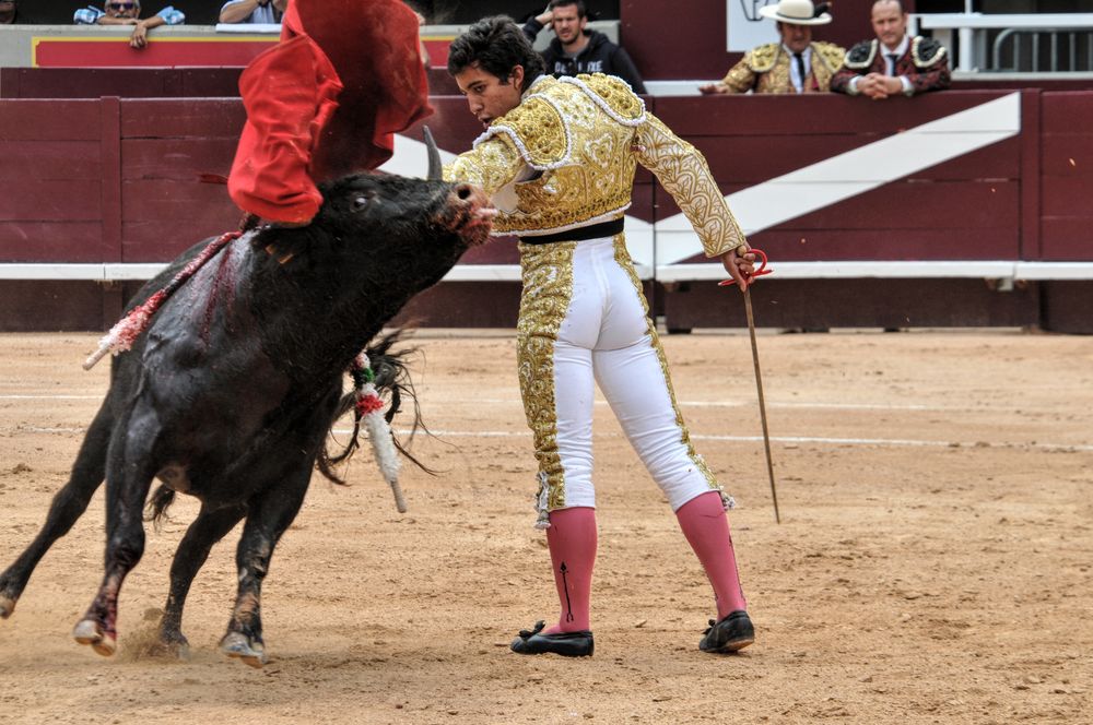 2016novistres (56)