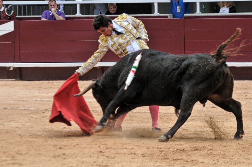2016novistres (58)