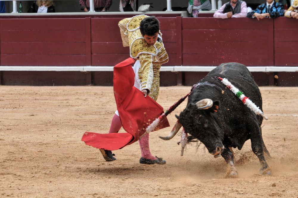 2016novistres (59)