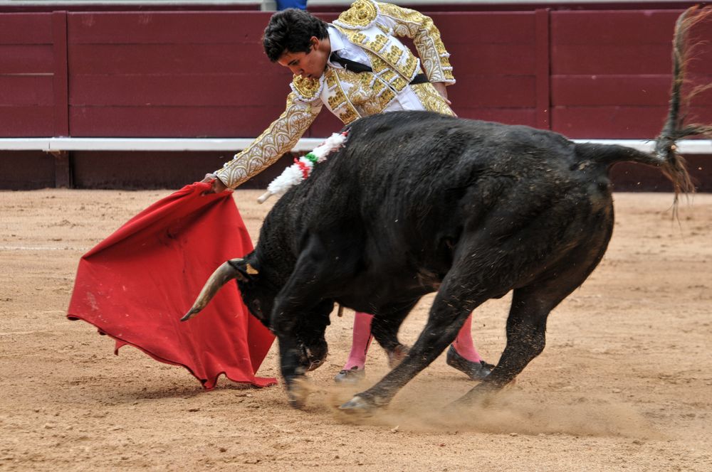 2016novistres (60)