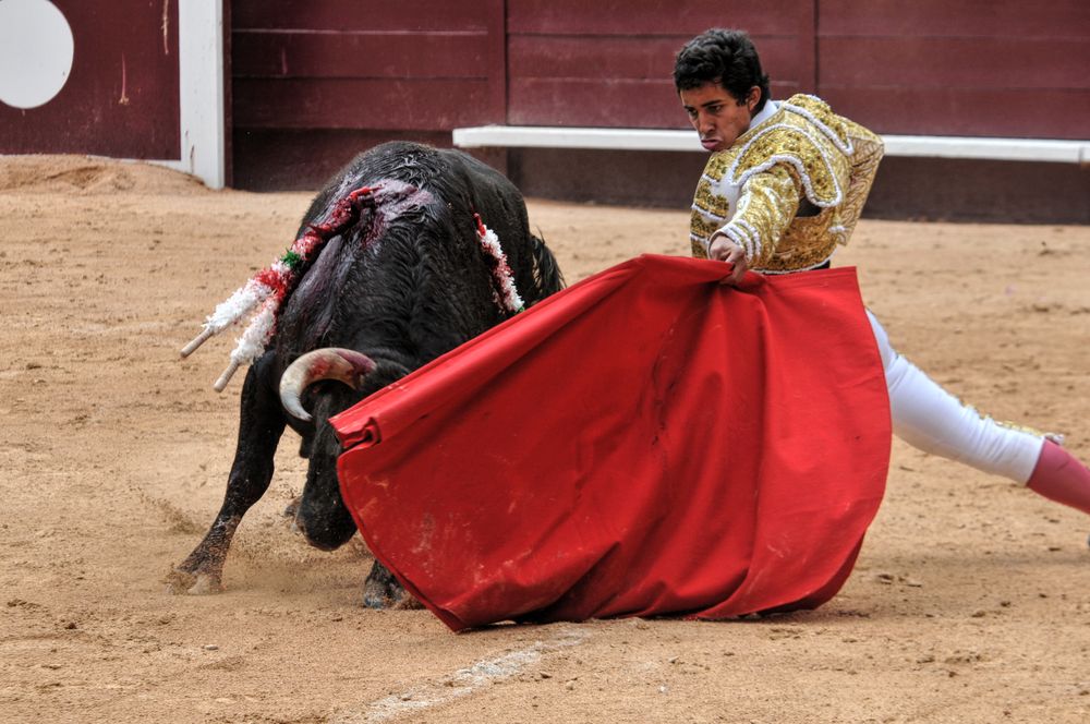 2016novistres (61)