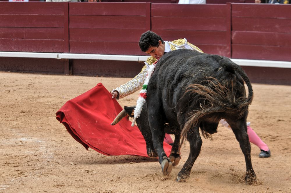 2016novistres (62)
