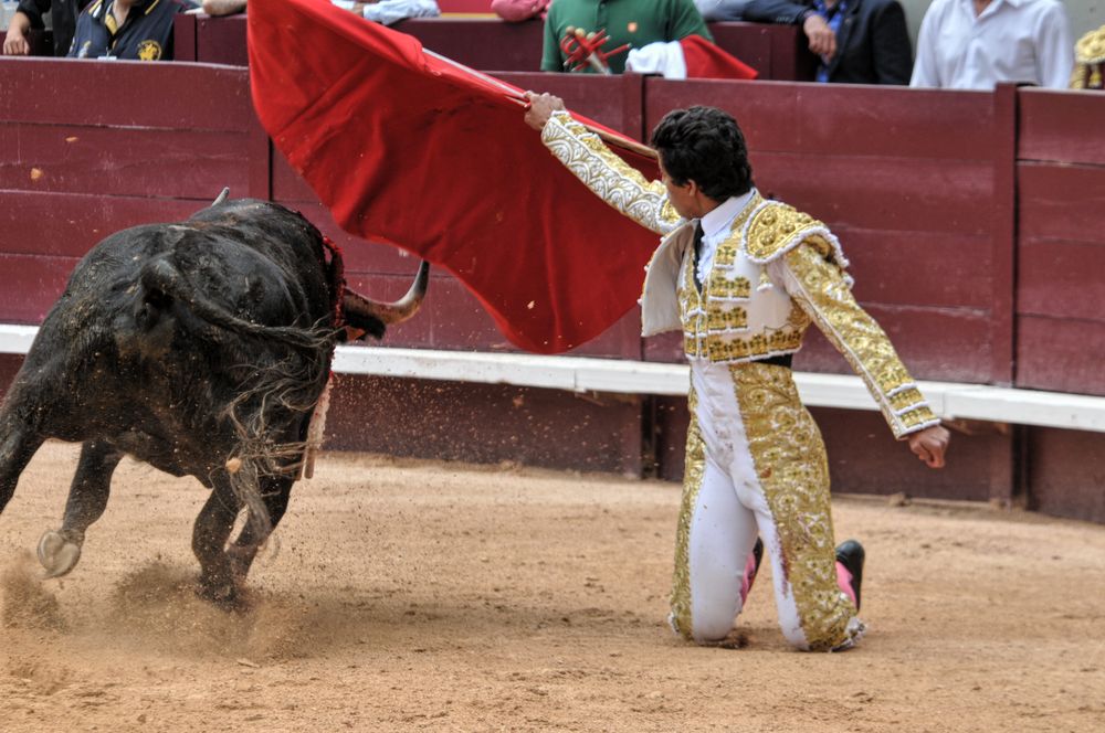 2016novistres (64)