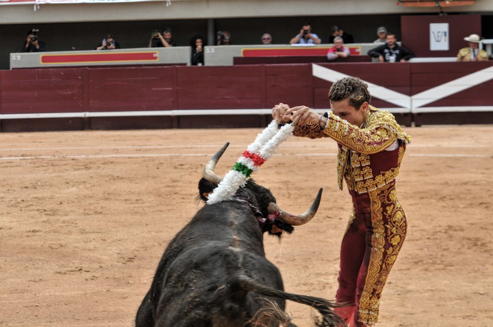 2016novistres (67)