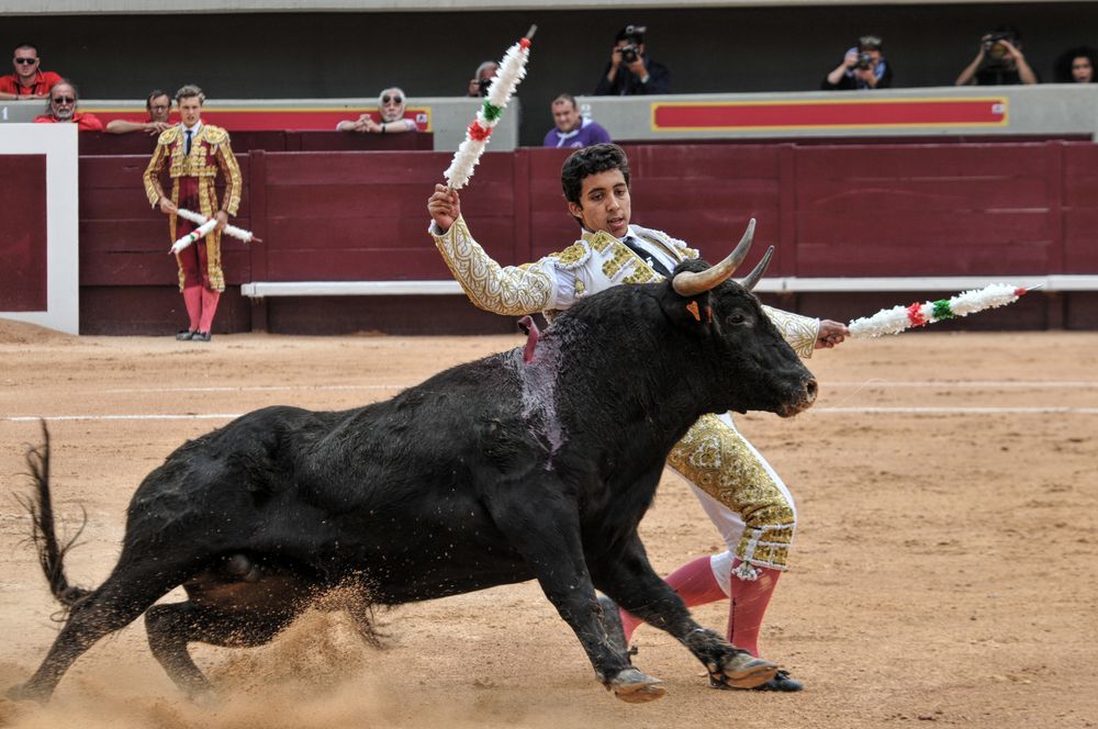 2016novistres (68)