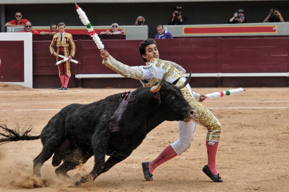 2016novistres (69)