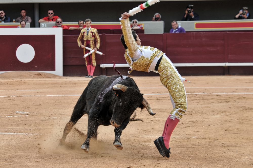 2016novistres (71)