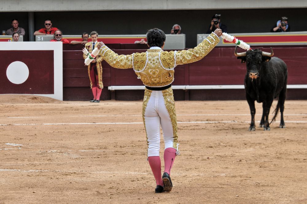 2016novistres (72)