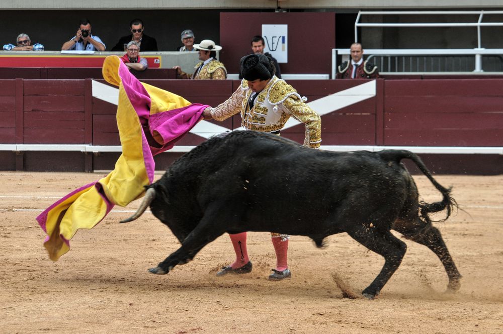 2016novistres (75)