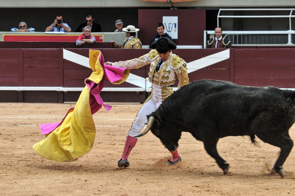 2016novistres (77)
