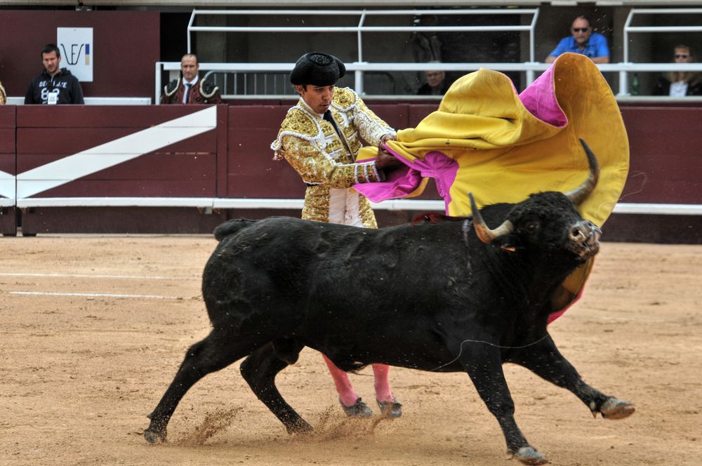 2016novistres (78)
