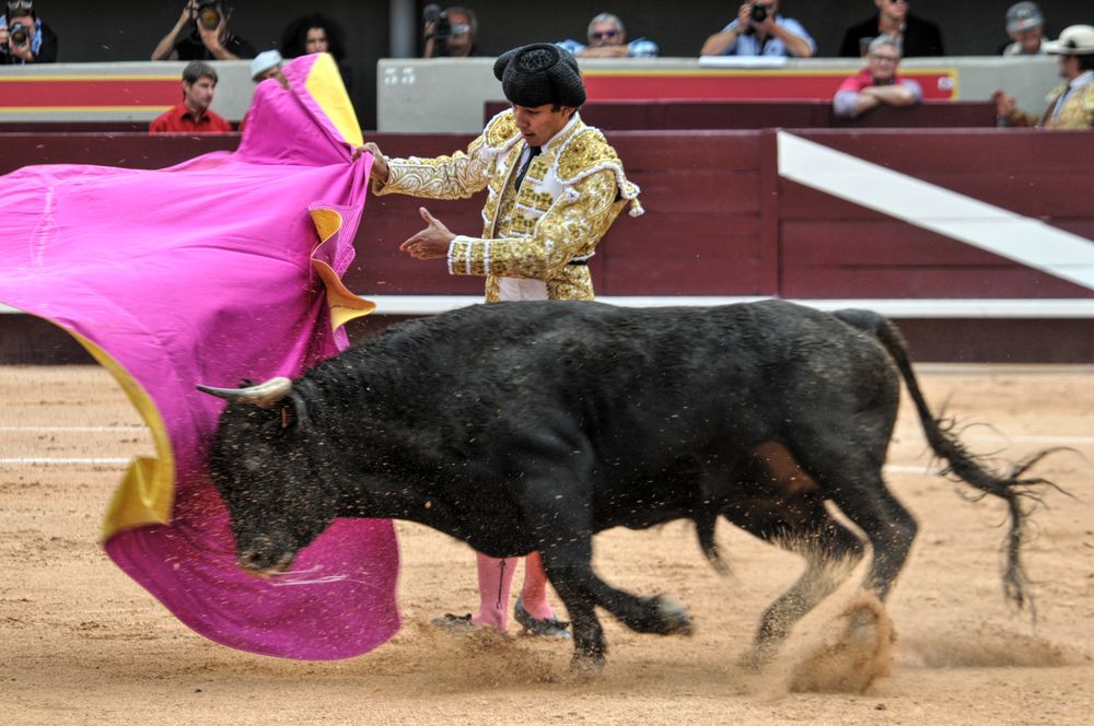 2016novistres (79)