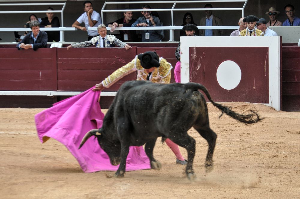 2016novistres (80)
