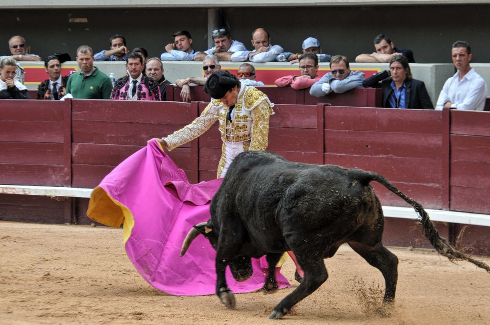 2016novistres (82)