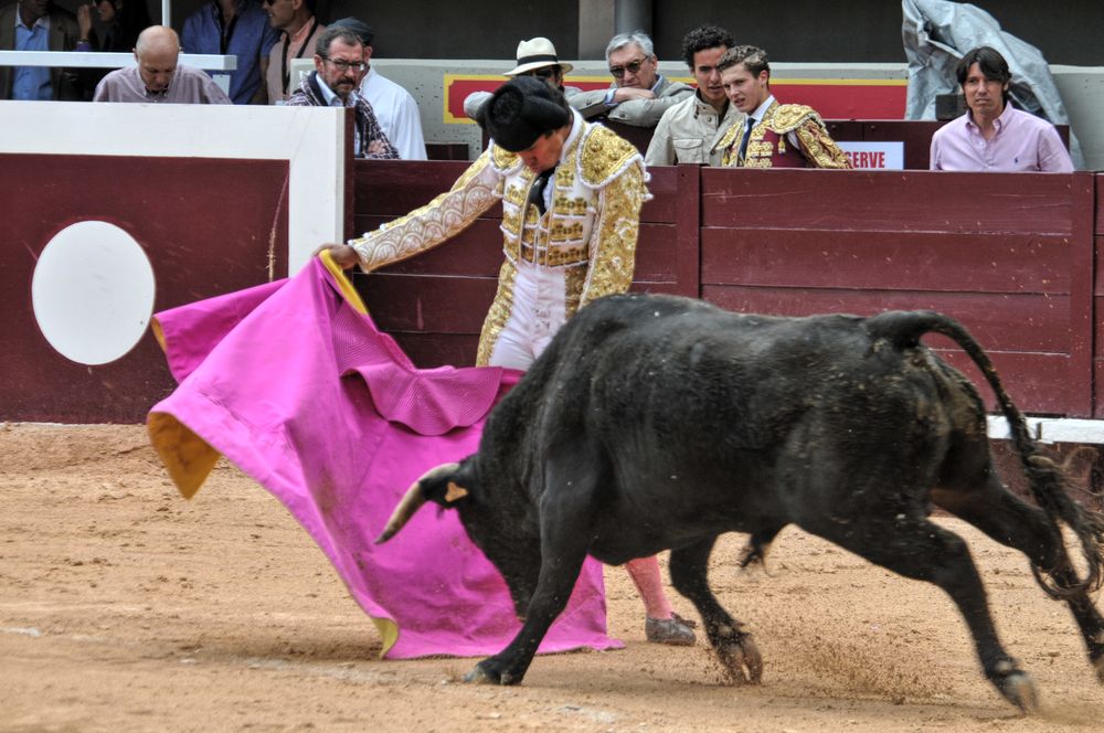 2016novistres (84)