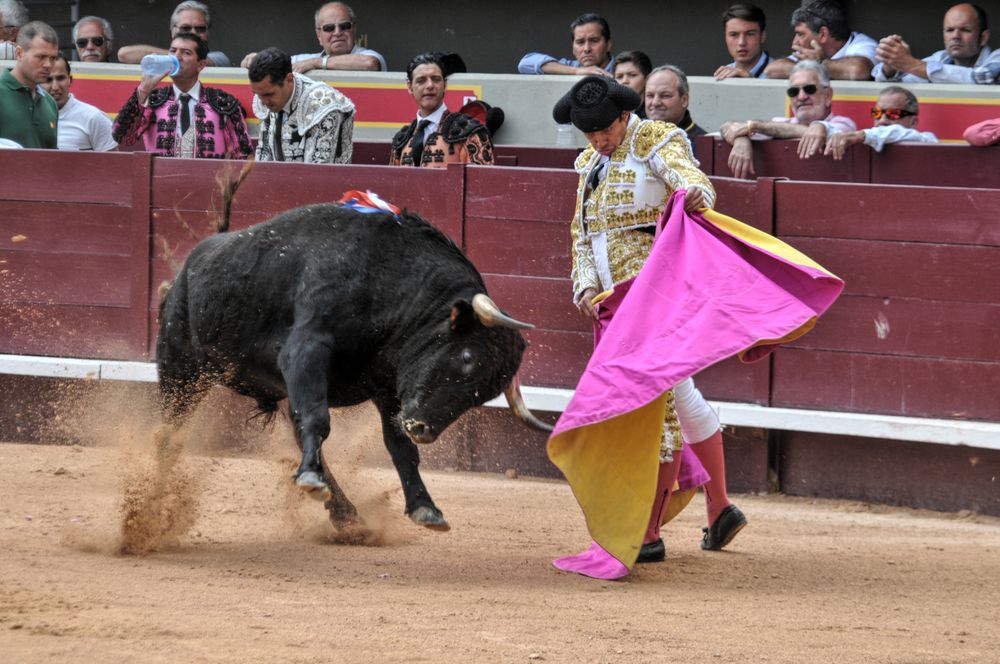 2016novistres (88)
