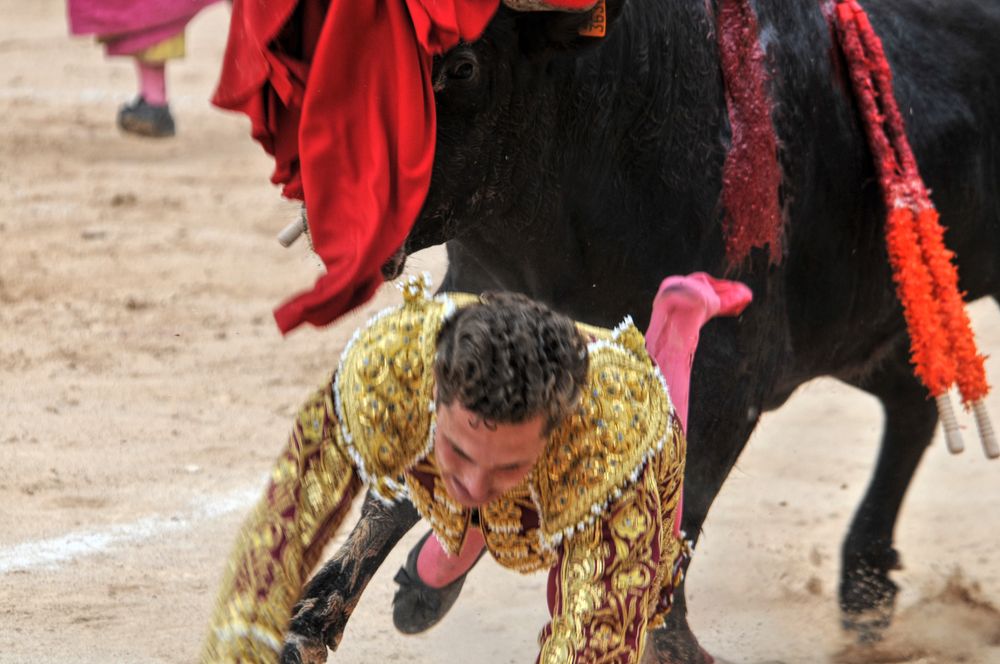 2016novistres (99)