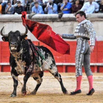 Novillada de la Féria des Vendanges de Nîmes