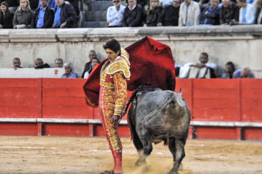 2016sebastiencastellavendangesnimes (33)