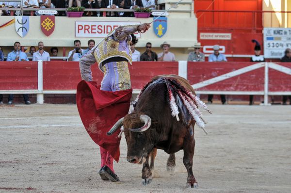 2016sebcastellastesmaries (10)