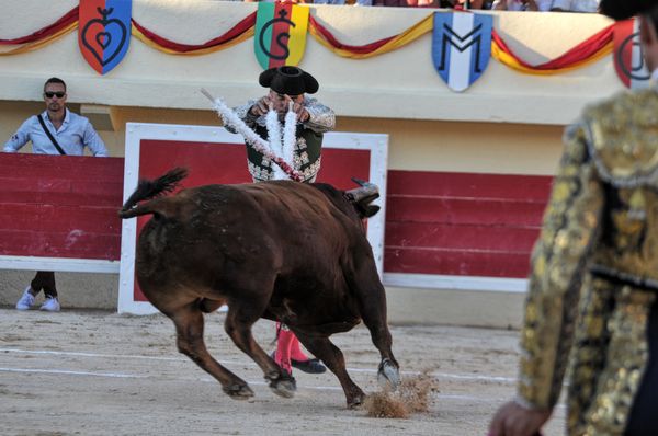 2016sebcastellastesmaries (17)