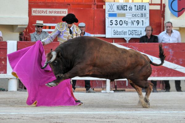 2016sebcastellastesmaries (22)