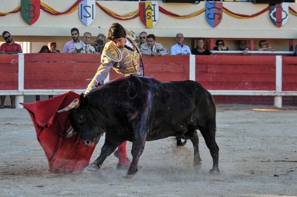 2016sebcastellastesmaries (36)