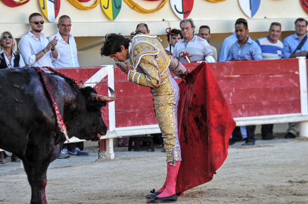 2016sebcastellastesmaries (44)