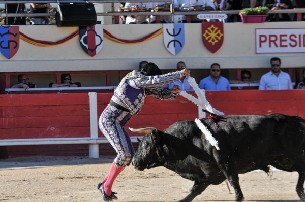 2016sebcastellastesmaries (81)