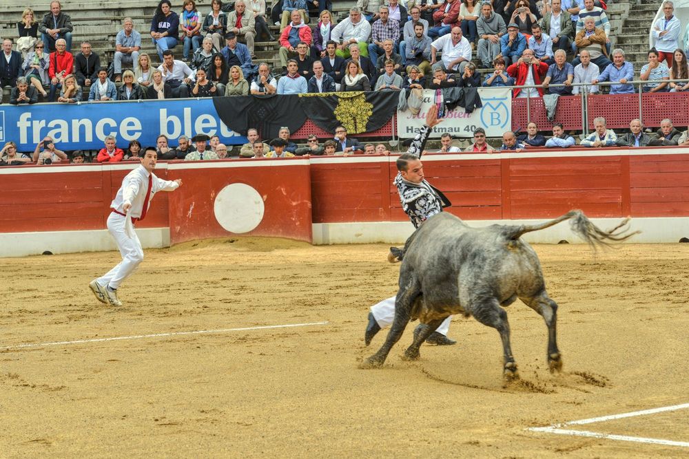 2016victorinomtdemarsan (15)