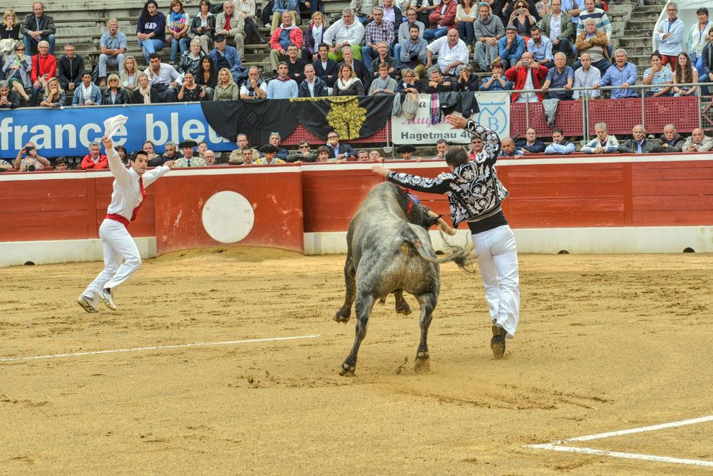 2016victorinomtdemarsan (17)