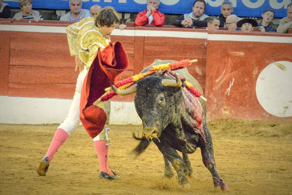 2016victorinomtdemarsan (23)