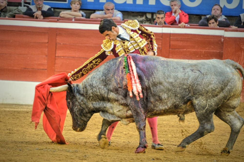 2016victorinomtdemarsan (28)