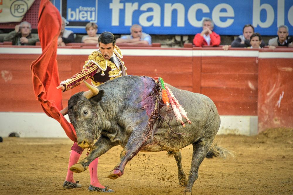 2016victorinomtdemarsan (29)