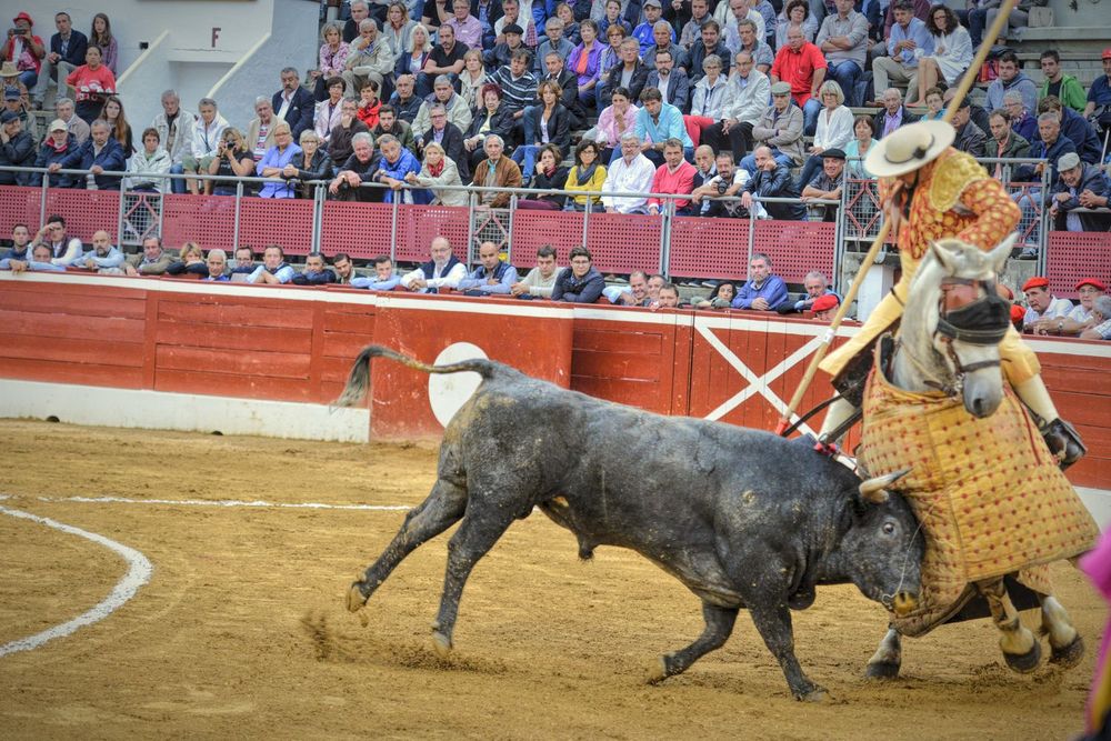 2016victorinomtdemarsan (35)
