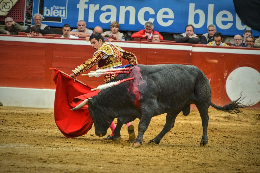 2016victorinomtdemarsan (39)