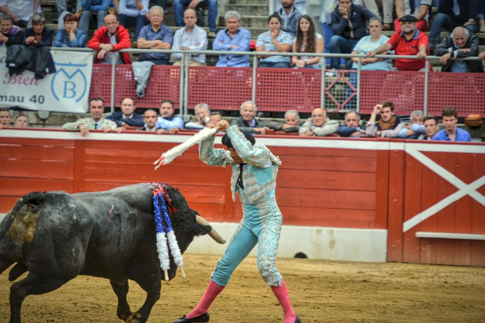 2016victorinomtdemarsan (40)