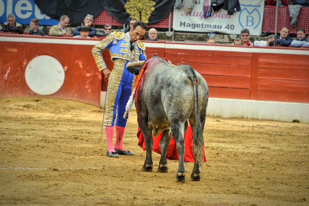 2016victorinomtdemarsan (42)