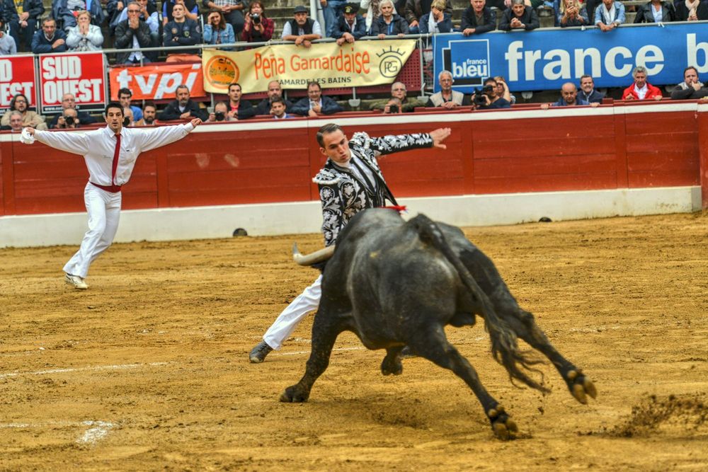 2016victorinomtdemarsan (43)