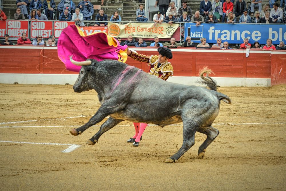 2016victorinomtdemarsan (44)
