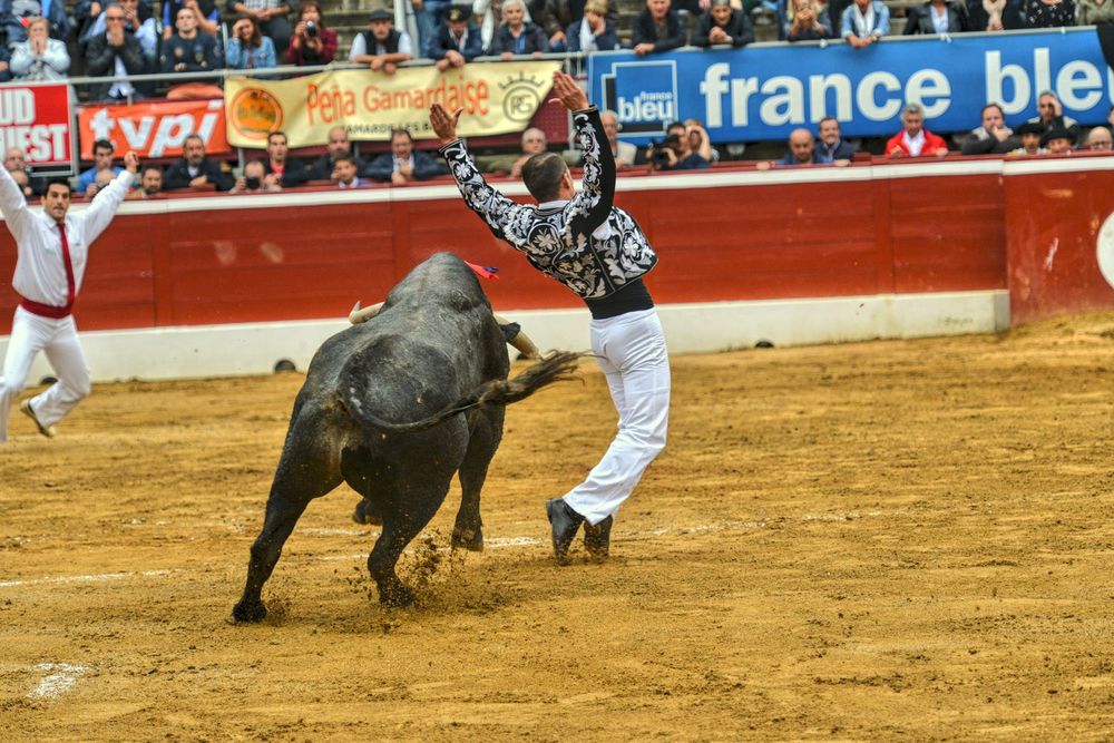 2016victorinomtdemarsan (45)