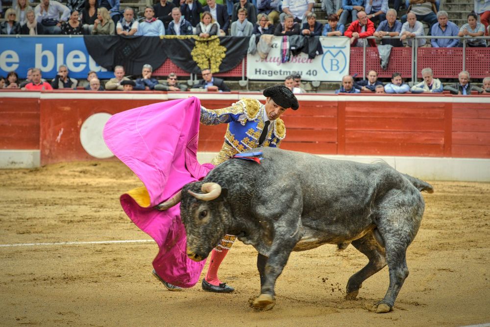 2016victorinomtdemarsan (46)