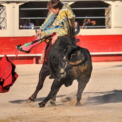 2017 CORRIDA DU SAMEDI A ALES